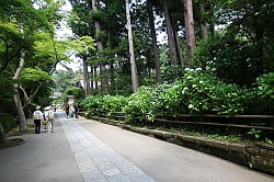 Kamakura - Engakuji Tempel