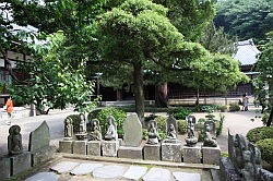 Kamakura - Engakuji Tempel