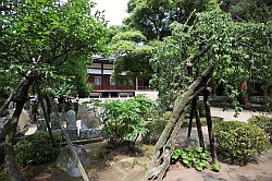 Kamakura - Engakuji Tempel