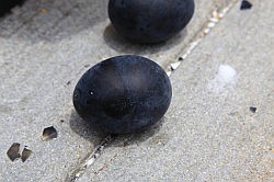 Hakone - Owakudani; een zwart gekookt ei