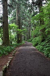 Hakone - te voet naar Moto-Hakone via de Old Imerial Highway met 350 jaar oude cederbomen