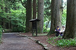 Hakone - de Old Imerial Highway; een populaire plaats om een schilderij te maken