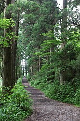 Hakone - te voet naar Moto-Hakone via de Old Imerial Highway met 350 jaar oude cederbomen