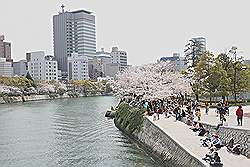 Hiroshima - rivier met rechts het 'Peace Park'