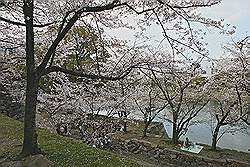 Hiroshima - Hiroshima Castle