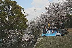 Hiroshima - Hiroshima Castle; ideaal voor een picknick