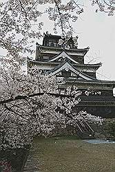 Hiroshima - Hiroshima Castle