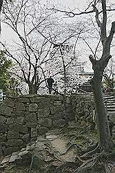 Hiroshima - Hiroshima Castle