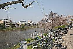 Kyoto - straatbeeld; er wordt veel gefietst in Japan