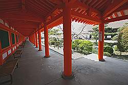 Kyoto - de Sanjusangendo tempel