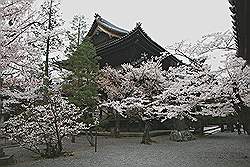 Kyoto - Chionin Tempel