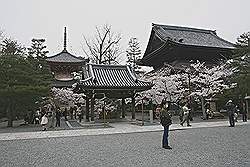 Kyoto - Chionin Tempel