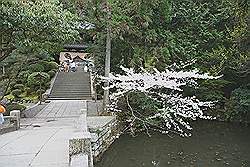 Kyoto - Chionin Tempel