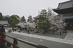 Kyoto - Chionin Tempel