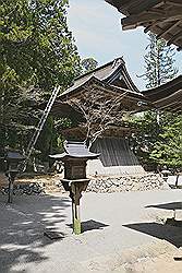 Koyasan - de Saito; een pagode van 27 meter hoog