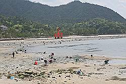 Miyajima - strand, met de torii van de Itsukushima tempel op de achtergrond