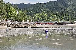 Miyajima - het strand, met de Itsukushima tempel op de achtergrond