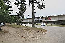 Nara - het Nara museum