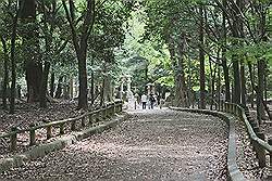 Nara - park