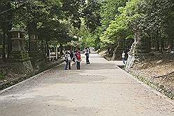Nara - park