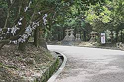 Nara - park, met vele lantaarns langs de paden