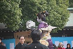 Meiji tempel - ceremonie