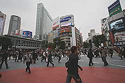Shibuja - oversteekplaats: een grote mensenmassa