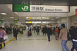 Shibuja - station