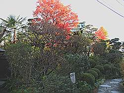 Kamakura - Daigyoji tempel