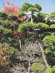 Kamakura - Daigyoji tempel