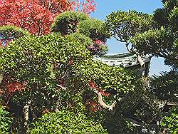 Kamakura - Daigyoji tempel