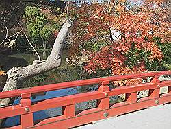 Kamakura - Tsurugaoka-Hachimangu tempel