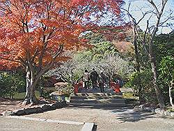 Kamakura - Tsurugaoka-Hachimangu tempel