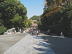 Kamakura - Tsurugaoka-Hachimangu tempel