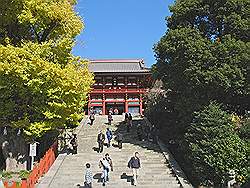 Kamakura - Tsurugaoka-Hachimangu tempel