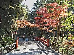 Kamakura - Tsurugaoka-Hachimangu tempel