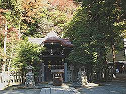 Kamakura - Tsurugaoka-Hachimangu tempel