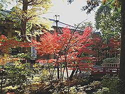 Kamakura - Tsurugaoka-Hachimangu tempel