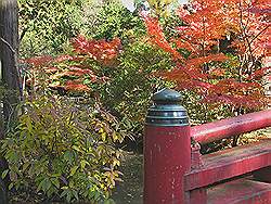 Kamakura - Tsurugaoka-Hachimangu tempel