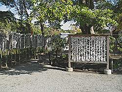 Kamakura - Tsurugaoka-Hachimangu tempel