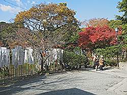 Kamakura - Tsurugaoka-Hachimangu tempel