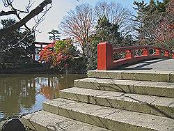 Kamakura - Tsurugaoka-Hachimangu tempel