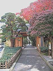 Kamakura - Hokokuji tempel