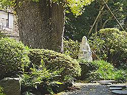 Kamakura - Hokokuji tempel