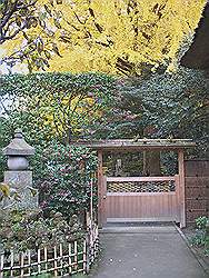 Kamakura - Hokokuji tempel