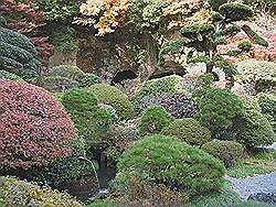 Kamakura - Hokokuji tempel