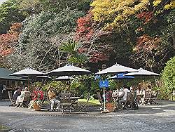 Kamakura - Jomyoji tempel; terras