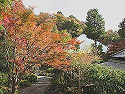 Kamakura - Jomyoji tempel