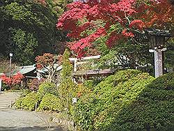 Kamakura - Kamakuragu Shrine