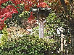 Kamakura - Kamakuragu Shrine